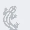 Salamander myWindow Salamander myWindow