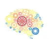Translational Emotional Neuroscience Development Lab