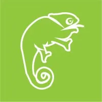 Cameleon Designs