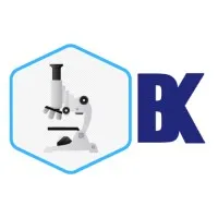 Beekay Enterprises