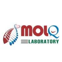 MolQ laboratory