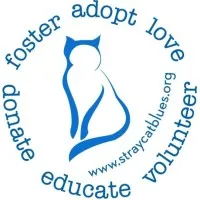 Stray Cat Blues Inc.