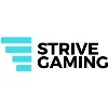 Strive Gaming Strive Gaming