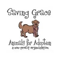 Saving Grace Animals for Adoption Saving Grace Animals for Adoption