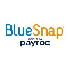 BlueSnap BlueSnap