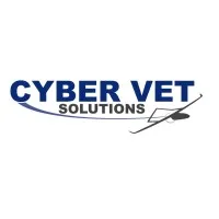 Cyber Vet Solutions, LLC Cyber Vet Solutions, LLC