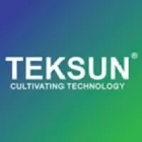 Teksun Inc