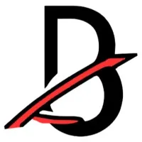 Bird View Investigation Services