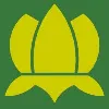 Lotus Trading & Contracting Company Lotus Trading & Contracting Company