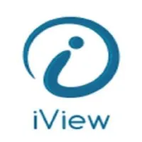 iView Consulting