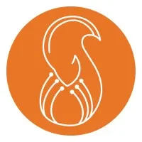 Squirai