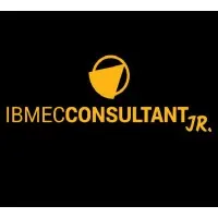 Ibmec Consultant Jr.