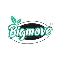 Big Move Marketing (M) Sdn. Bhd.