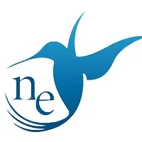 Nesteye Insights Pvt ltd