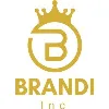 Brandi Inc Brandi Inc