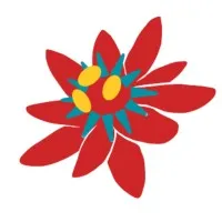 CeMAIS