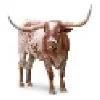 University of Texas University of Texas