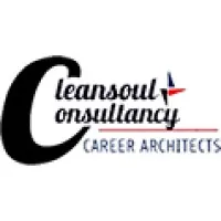 Cleansoul Consultancy