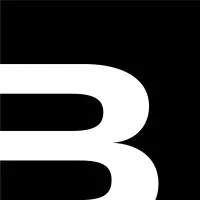 BlueBox Ventures email format