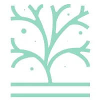 Cothrom Capital