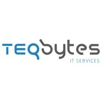 TEQbytes Inc.