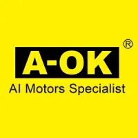  A-OK 丨AI motors specialist