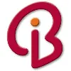Branding Iron Holding, LLC Branding Iron Holding, LLC