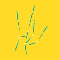 Future Connect Caroline Springs, Australia Future Connect Caroline Springs, Australia