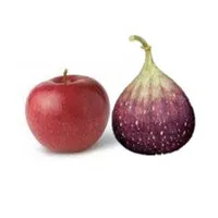 AppleFig Productions, LLC