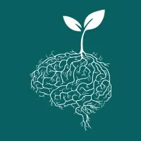 Wisdom Sprouts IT Training Hub