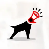 Too Darn Loud Digital Marketing Too Darn Loud Digital Marketing