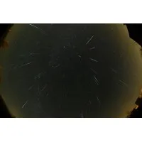 CVinc