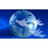 Organization for International Cooperation