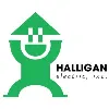 Halligan Electric Inc Halligan Electric Inc