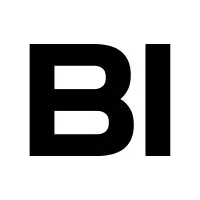 BI Consulting