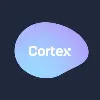ICT Cortex ICT Cortex