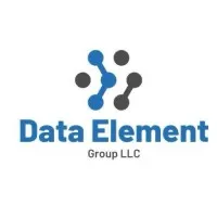 Data Element Group LLC Data Element Group LLC