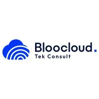 Bloo Cloud Tek Consult