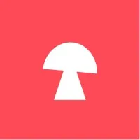 True Umami True Umami