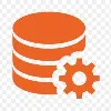 Database Administrator Database Administrator
