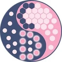 Dynamic Colloidal Systems Laboratory (DCS Lab)