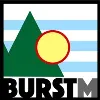 Burst Management, LLC Burst Management, LLC