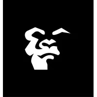 American Precision Engineering