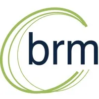 BRM Risk Management