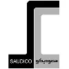 Saudi Constructioneers Ltd. (SAUDICO)