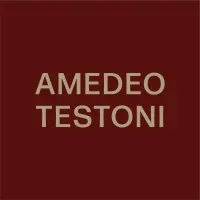 AMEDEO TESTONI