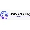 Binary Consulting Services Binary Consulting Services