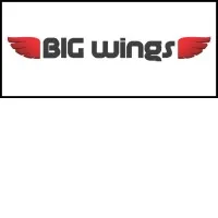 Big Wings LLC