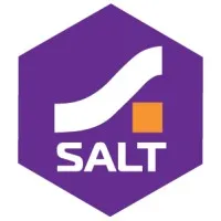 Salt Group email format