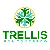 Trellis for Tomorrow